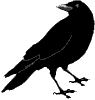 Crowbeard